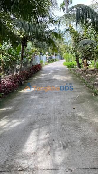 Đất nền Mặt tiền An Hội, Bến Tre 720m² - Giá 1.69 Tỷ