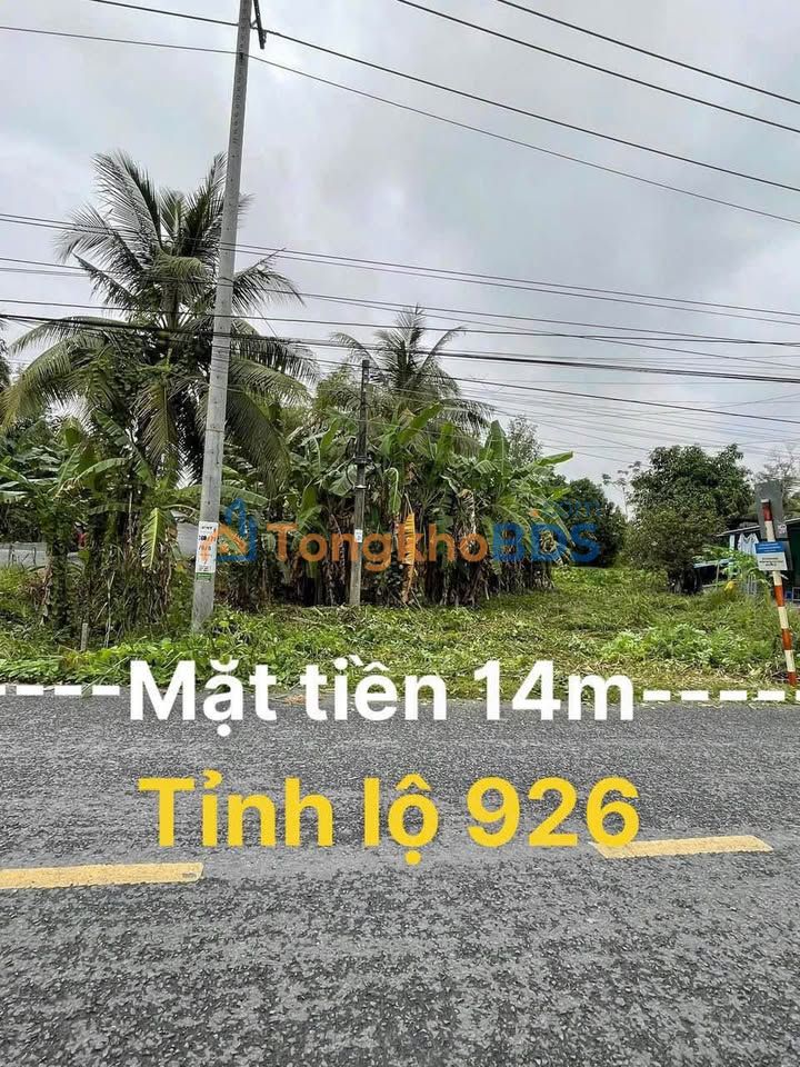Đất nền TL926 Phong Điền 1.165m² 2.85 tỷ - Đường to ô tô