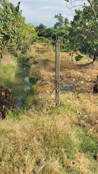 Đất vườn Trường Long 5.325m² 1,1 tỷ - Sinh thái xanh