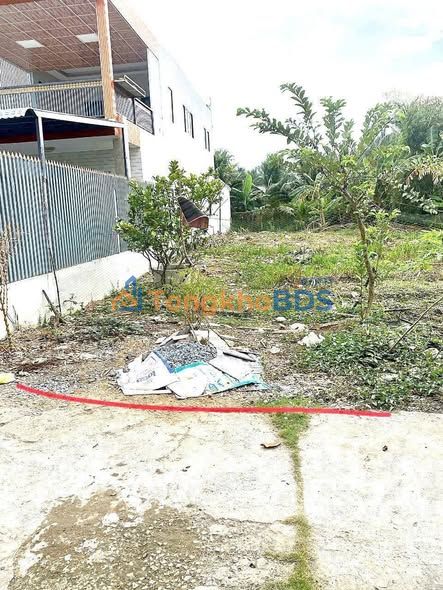 Bán Nền 153m² Hướng Đông Bắc, Xã Bình Phú, Bến Tre - Giá 600 Triệu