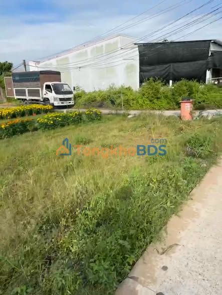 Đất Nền 1822m² Bến Tre - Lộ Giồng, Thổ Cư Sẵn Sàng Đầu Tư