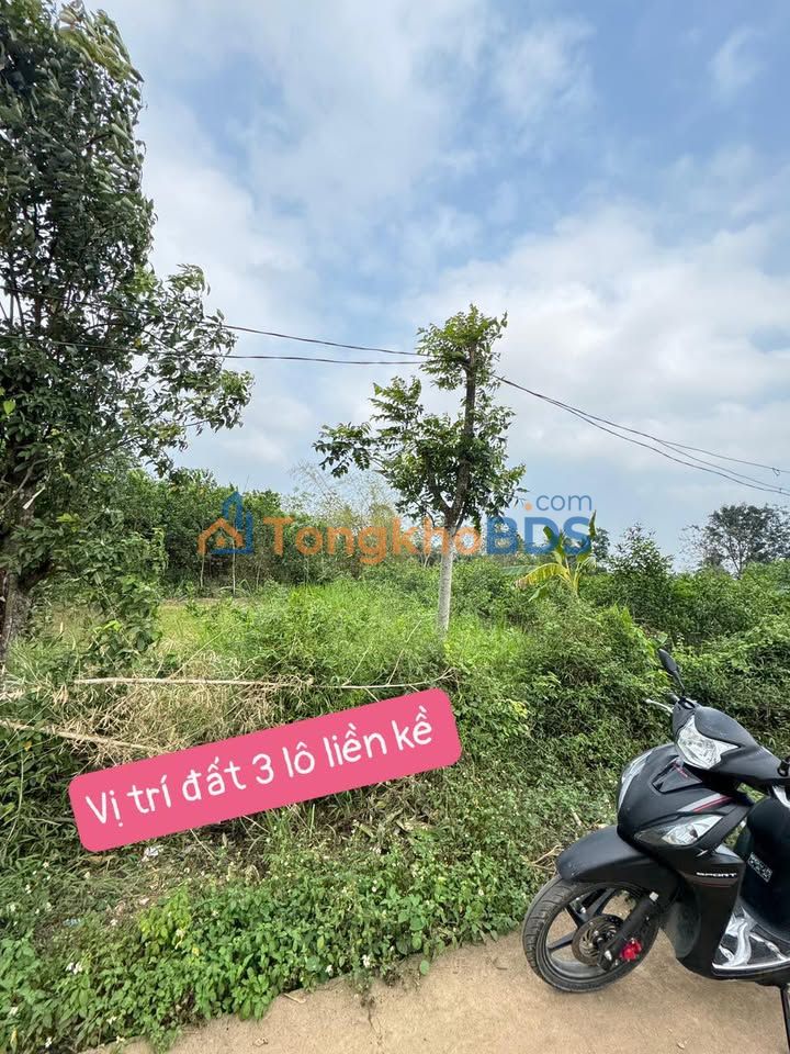 Đất nền xã Thọ Lập 208m² 200 triệu - Sổ đỏ chính chủ