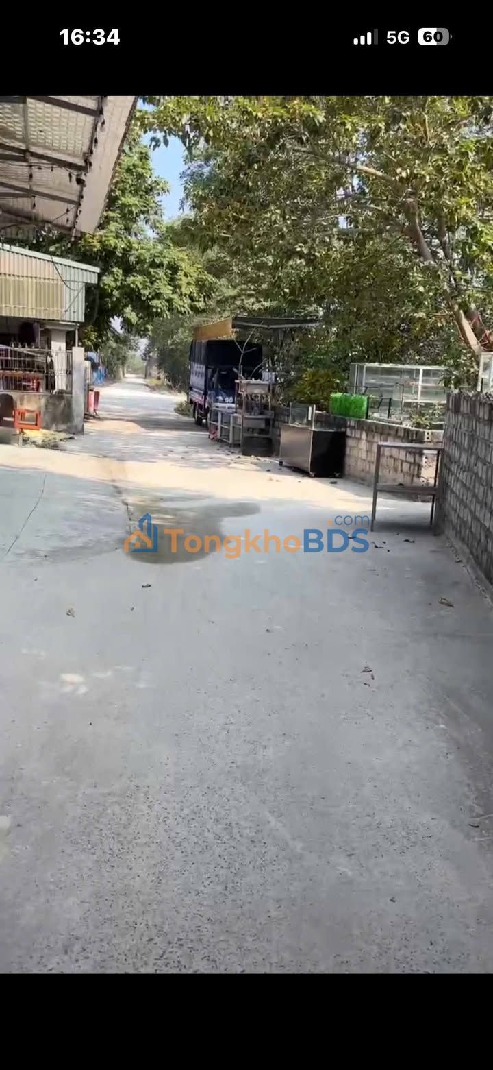 Đất nền Phố 2 Quảng Hưng 80m² 1 tỷ - Đường to ô tô