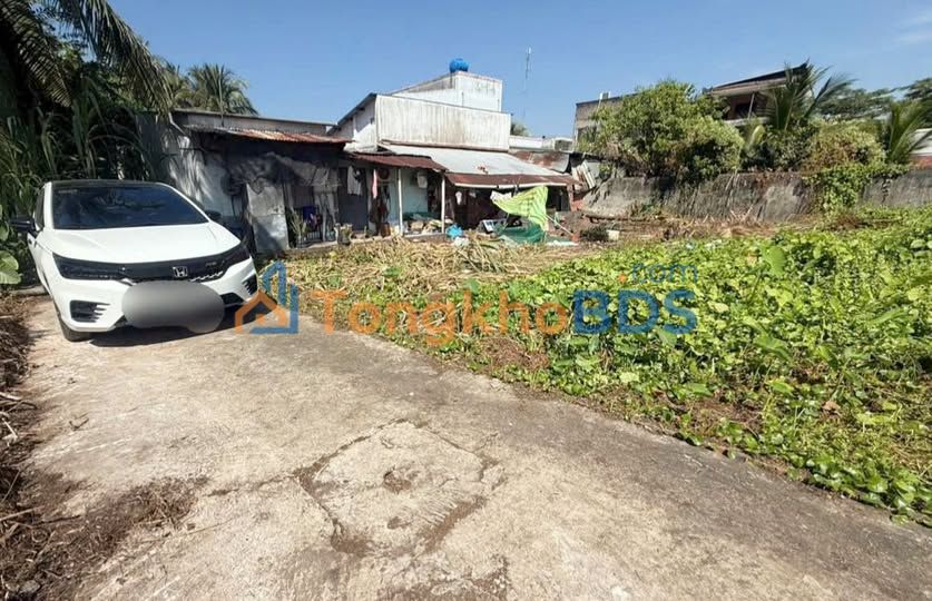 Đất Thổ Cư 103m² Phú Hưng, Bến Tre - Sổ Đỏ Sẵn Sàng