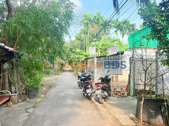 Nhà Mặt Tiền Đường Thống Nhất, Bến Tre - 171m² Thổ Cư, Kinh Doanh Tốt