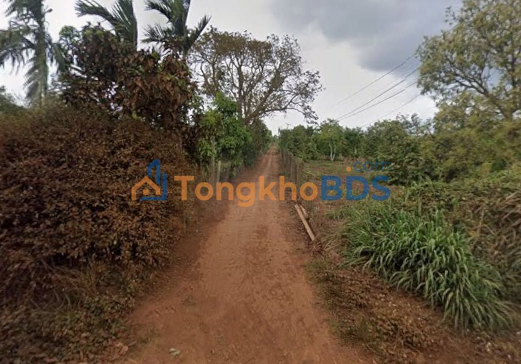 Đất nền Buôn Hồ 600m² 899 triệu - Pháp lý rõ ràng, ô tô vào