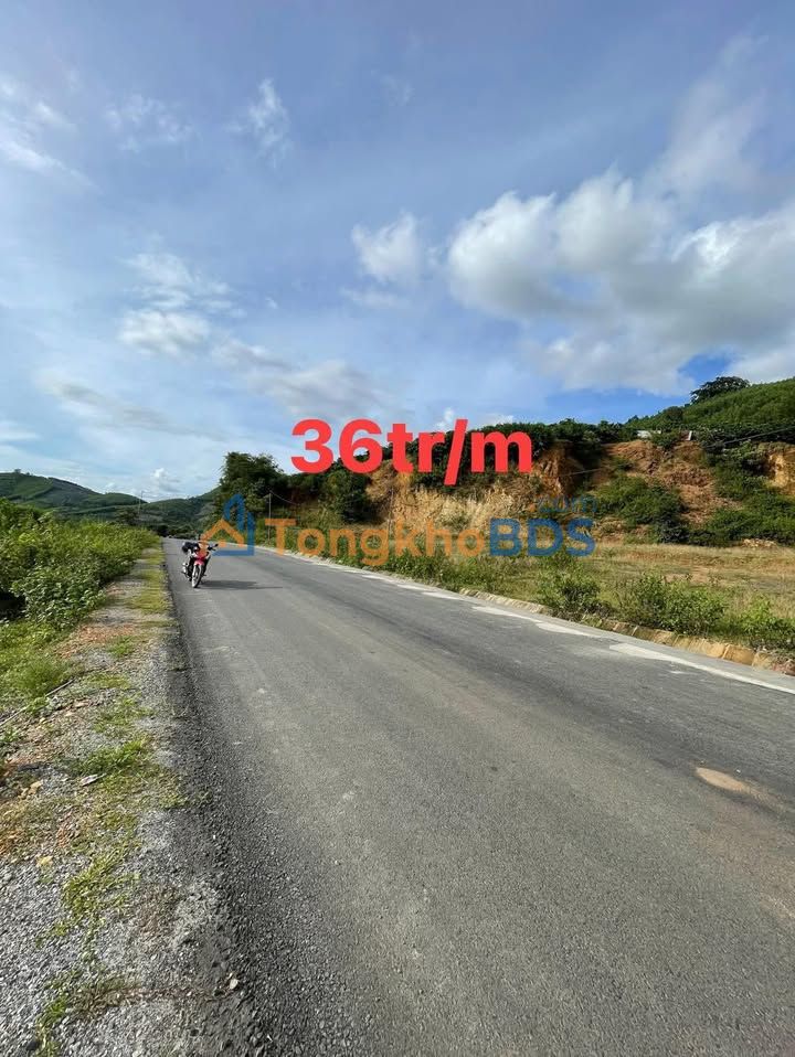 Đất nền Yang Mao 12.000m² thỏa thuận - Sổ đỏ chính chủ