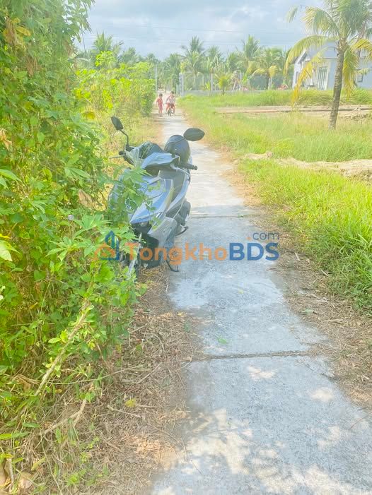 Đất vườn Hữu Định 510m²/500tr - Đầu tư dài hạn