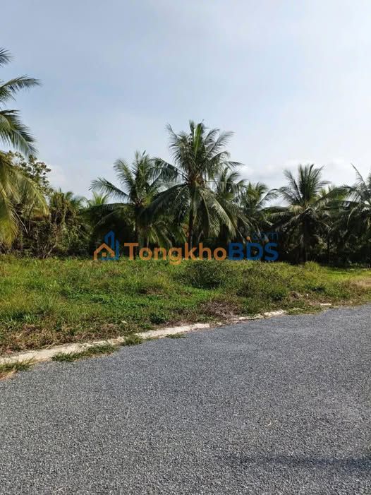 Đất nền Thới Lai Bình Đại 148m² 350 triệu - Sổ đỏ chính chủ, xe hơi vào tận nơi