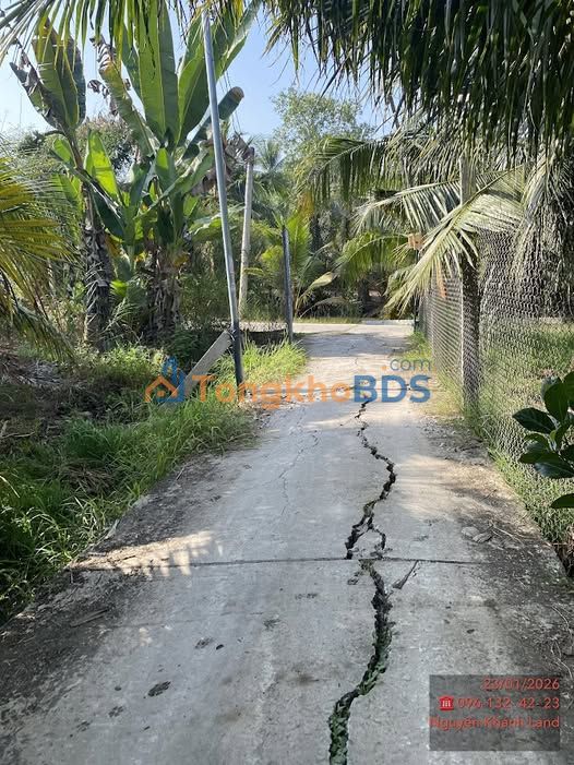 Bán Gấp Đất Vườn 668m² Xã Hữu Định, Bến Tre - Giá 600 Triệu