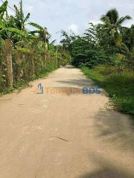 Đất nền Phong Nẫm 553m² 750 triệu - Sổ đỏ chính chủ