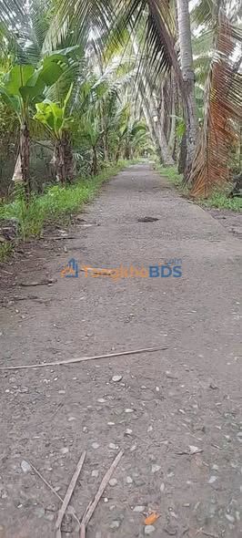 Đất vườn An Phước 2.300m² giá 1.3 tỷ - Sổ đỏ chính chủ