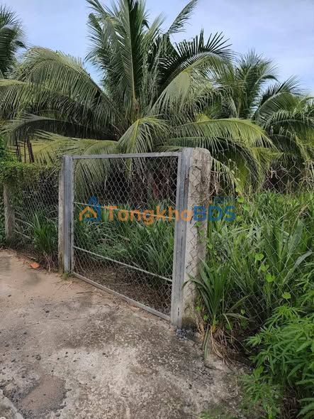 Đất Phường Phú Khương Bến Tre 179m² 820 triệu - Sổ đỏ chính chủ