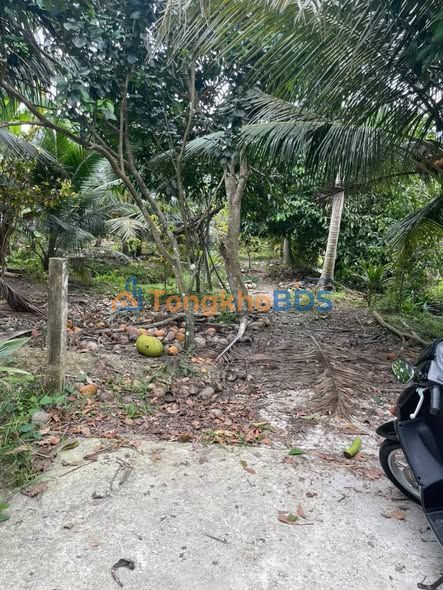 Đất vườn Châu Thành 6.300m² 5.04 tỷ - Đầu tư dài hạn