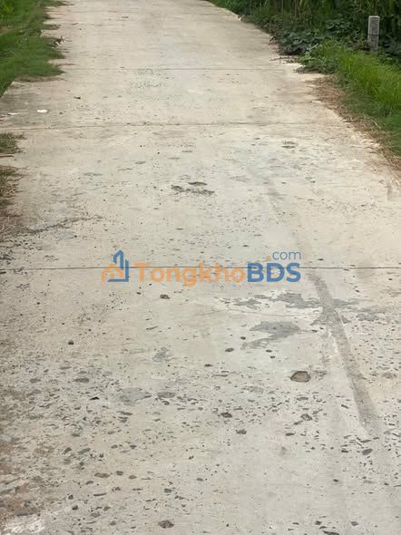 Đất nền Sơn Định Chợ Lách 952m² giá 800 triệu - Sổ đỏ chính chủ