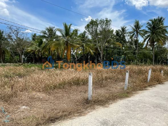 Đất nền Phú Nhuận Bến Tre 4600m² - Sổ đỏ chính chủ