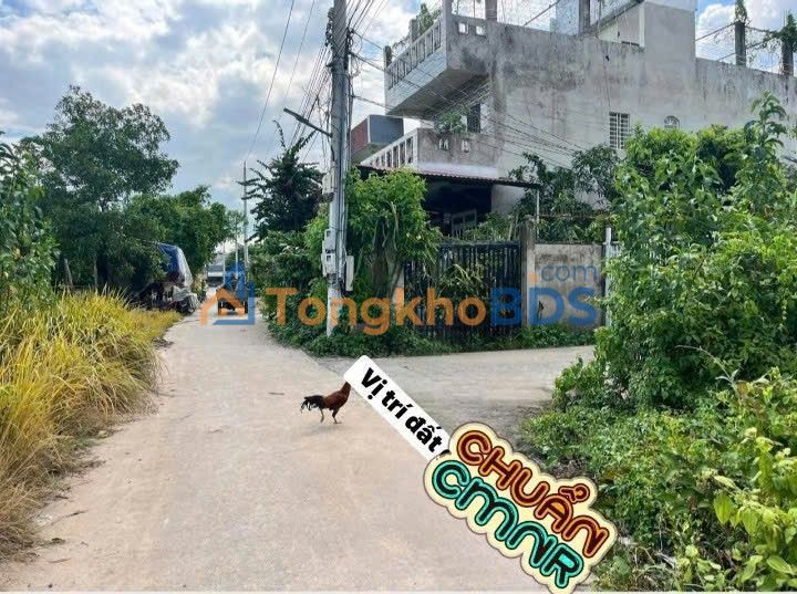 Đất Long Thọ Nhơn Trạch 105m2 1.55 tỷ – Pháp lý rõ ràng