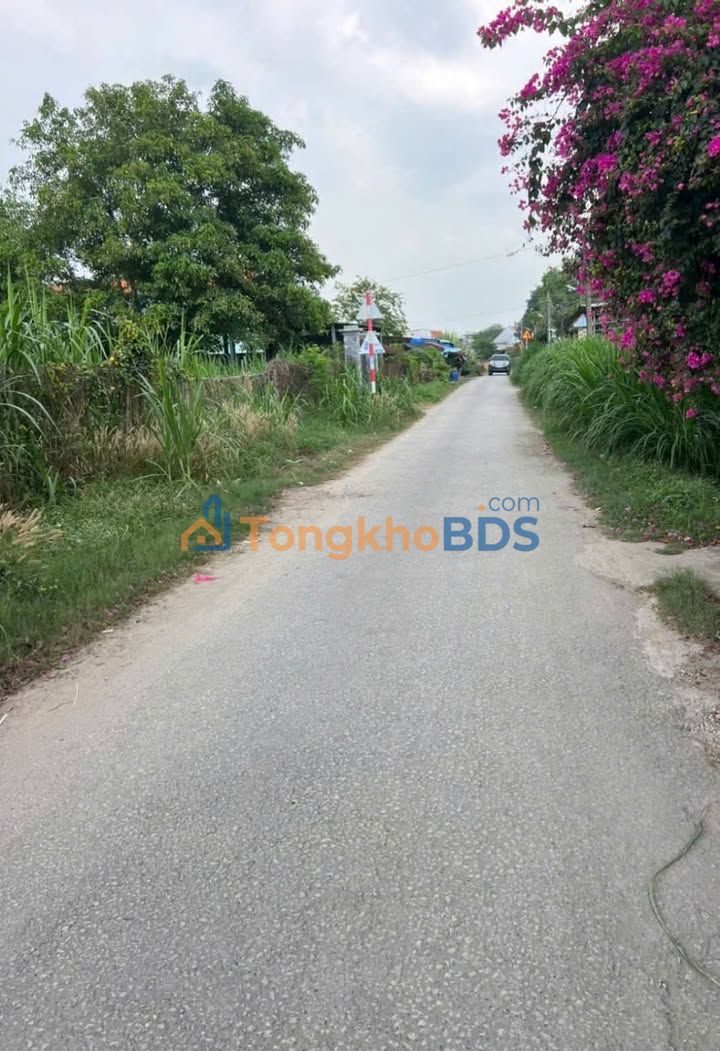 Đất Vàng Trảng Bàng - 380m² Mặt Tiền Nhựa, Giá Chỉ 1.75 Tỷ