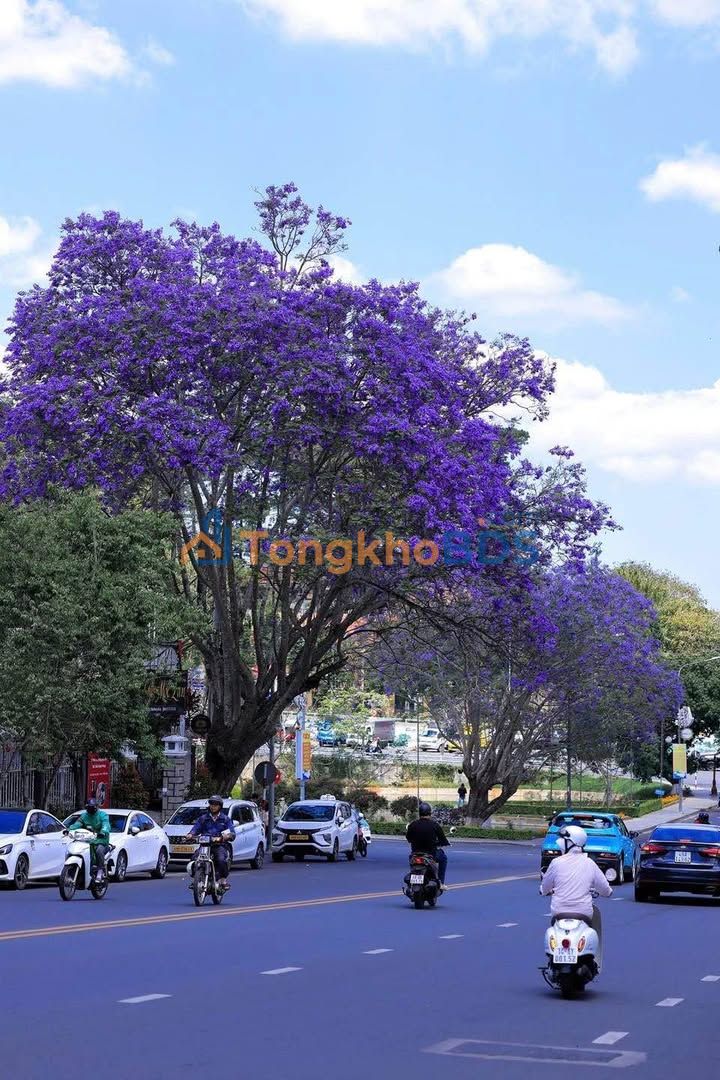 Nhà cho thuê Tô Hiệu P7 Đà Lạt 300m² - Sẵn sàng ở ngay