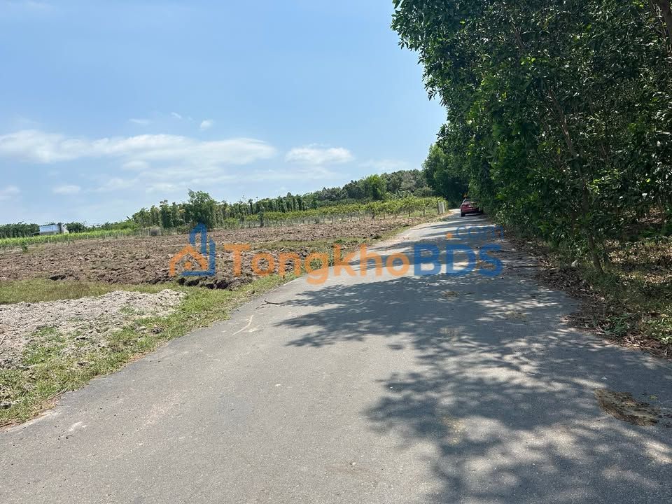 Đất Hòa Hội BRVT 1036m2 850 triệu - Sổ đỏ riêng