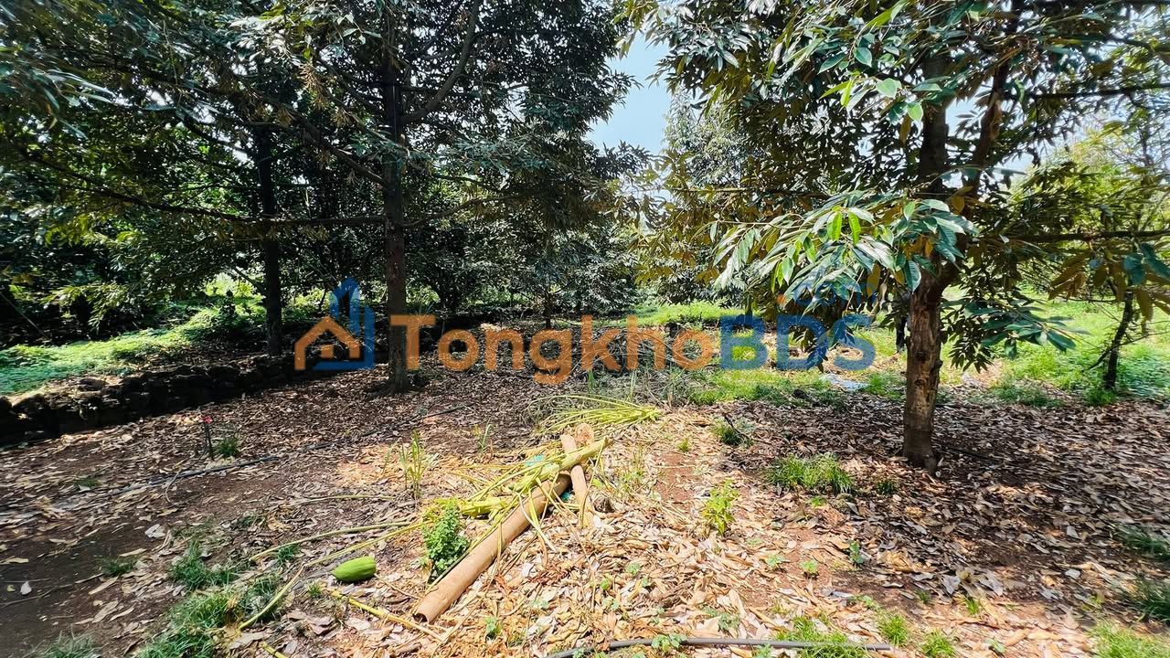 Đất vườn Tà Lài Đồng Nai 2.000m² 1.05 tỷ - Sinh thái xanh