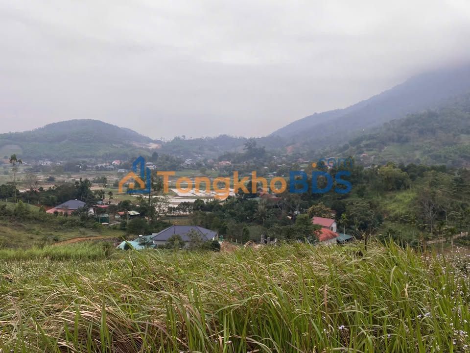 Đất nền Thôn Mít Ba Vì 5000m² 3 tỷ - Sổ đỏ chính chủ