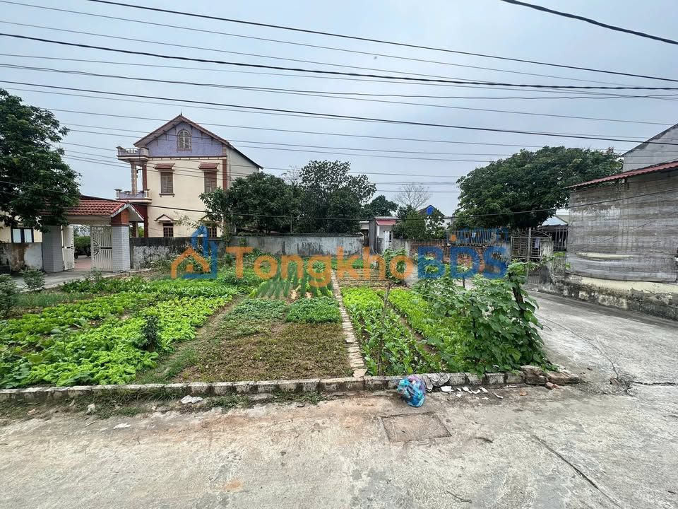 Đất nền Minh Khai Hưng Hà 107m² 1 tỷ - Sổ đỏ chính chủ