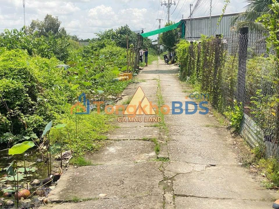 Đất nền Lý Văn Lâm Cà Mau 1320m² 3.2 tỷ - Sổ hồng sẵn