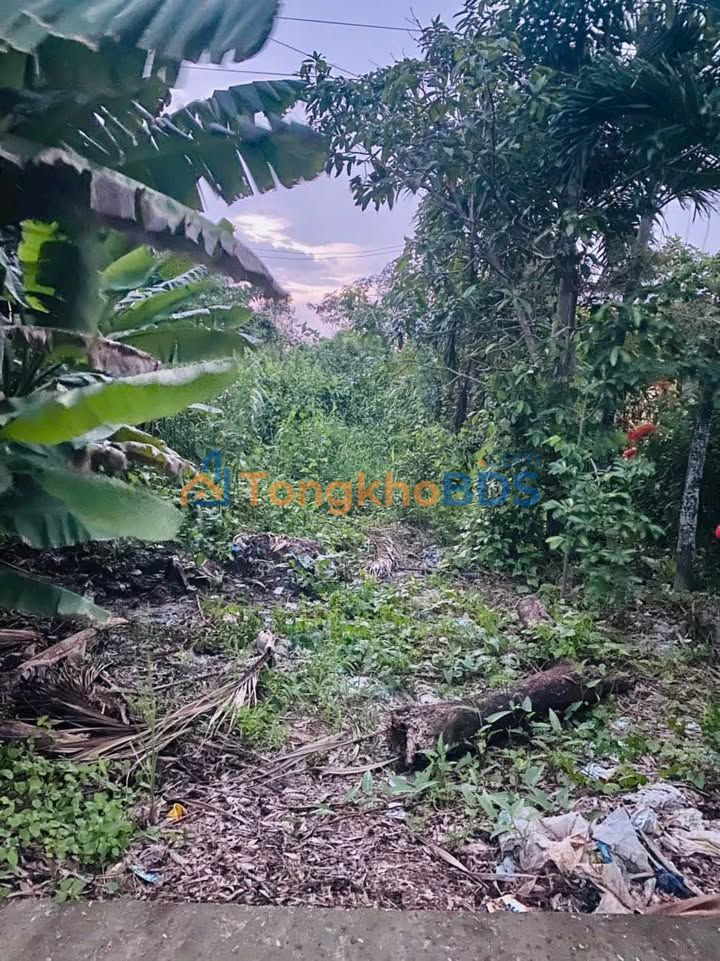 Đất nền Phường 8 Cà Mau 300m² 500 triệu - Sổ đỏ chính chủ