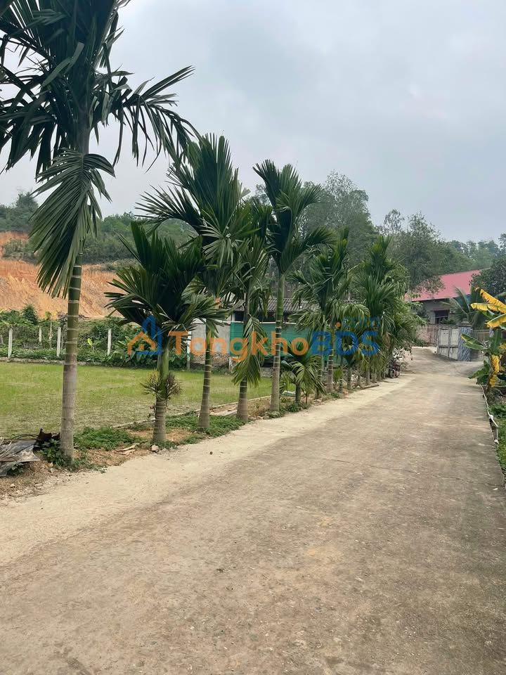 Đất nền Hóa Trung Đồng Hỷ 197m² 7xx triệu - Sổ đỏ chính chủ