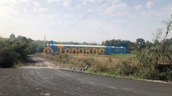 Kho Vĩnh Tân 1.600m² 50 triệu - Gần KCN VSIP 2, sẵn dùng