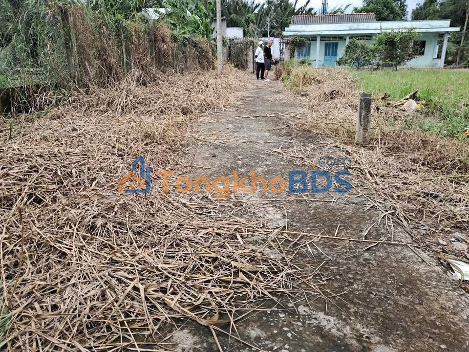 Đất nền Khánh Hậu Tây Ninh 529m² giá 2 tỷ - Sổ đỏ chính chủ