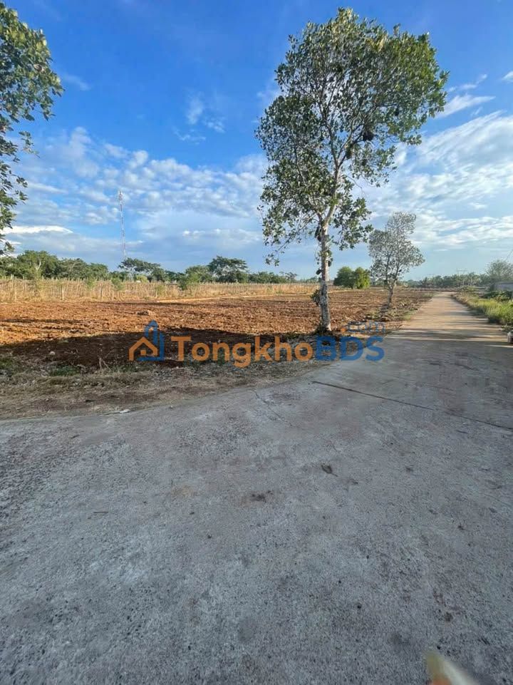 Đất nền Khánh Xuân Buôn Ma Thuột 115m² 650tr - Sổ đỏ chính chủ