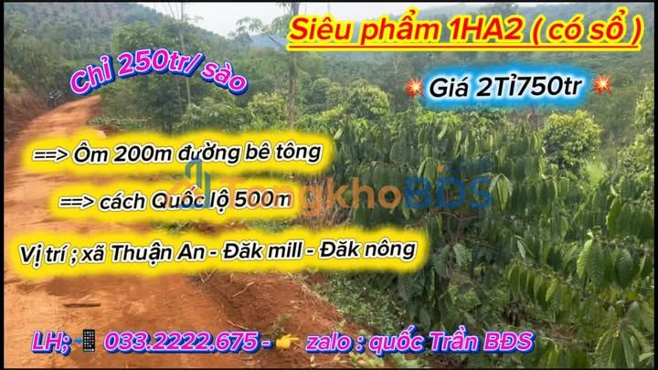 Đất rẫy Đường Quốc lộ 14A Ea H'Leo 1,2ha 250tr/sào - Sổ đỏ chính chủ