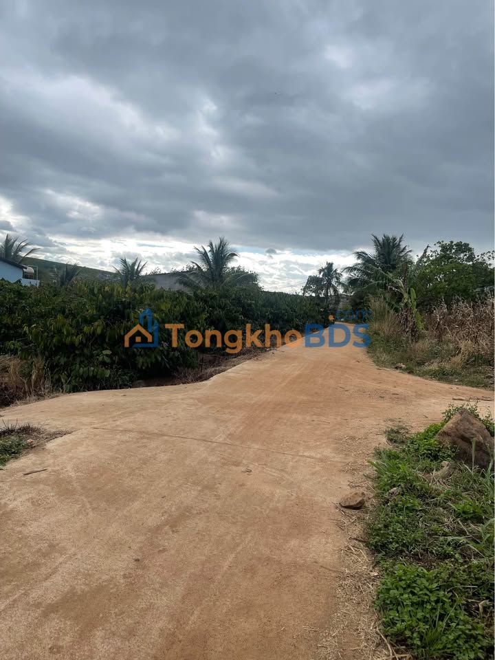 Đất nền Ea Sol 300m² 490 triệu - Đường to ô tô