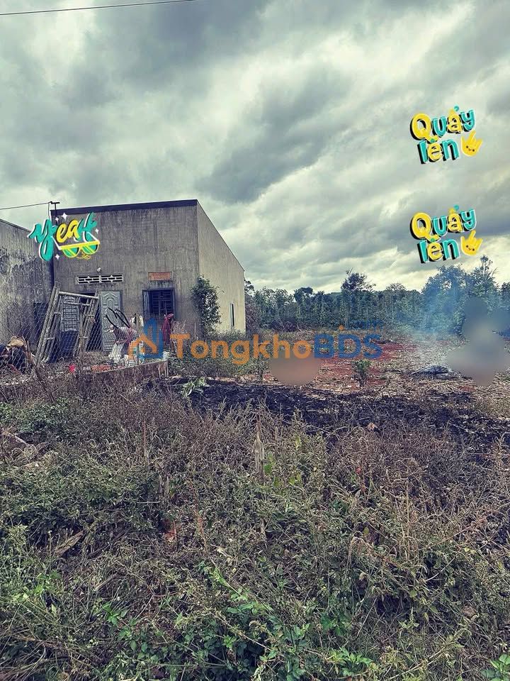 Đất thổ cư Cư Suê 135m2 670 triệu - Sổ đỏ chính chủ