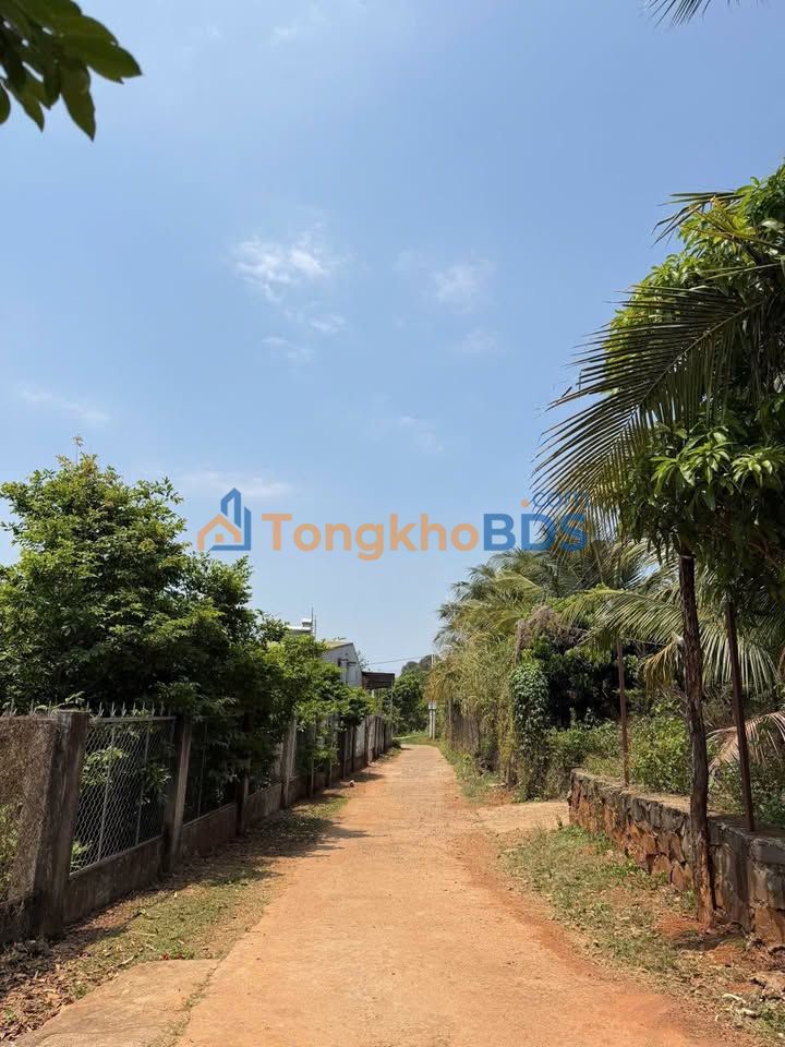 Đất nền Khánh Xuân Buôn Ma Thuột 890 triệu - Thổ cư 100%