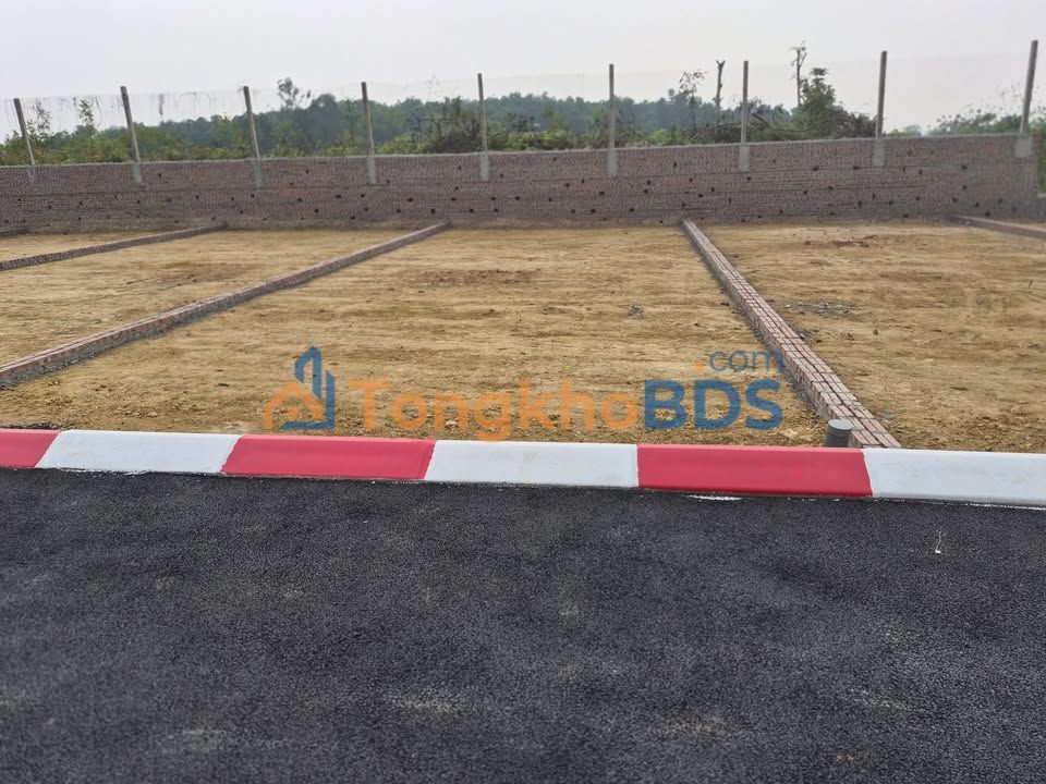 Đất Thôn Đông Phượng Ba Vì 100m² 100-199 tỷ - Giá F0 CĐT