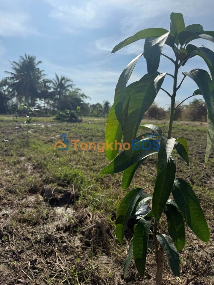 Đất nền Hàm Chính 360m² 490 triệu - Sổ hồng sẵn