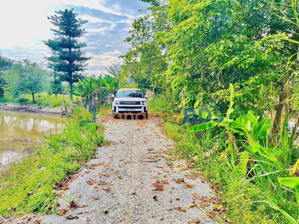 Đất ruộng Mỹ Khánh 602m² 2xx triệu - Nghỉ dưỡng lý tưởng