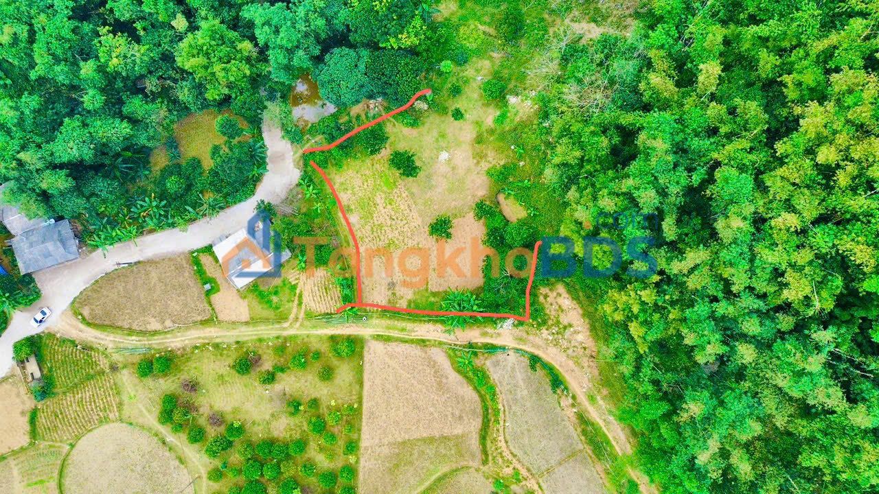 Đất Nền Nghỉ Dưỡng 1500m² Hoà Bình - View Thoáng, Sẵn Sàng Làm Homestay