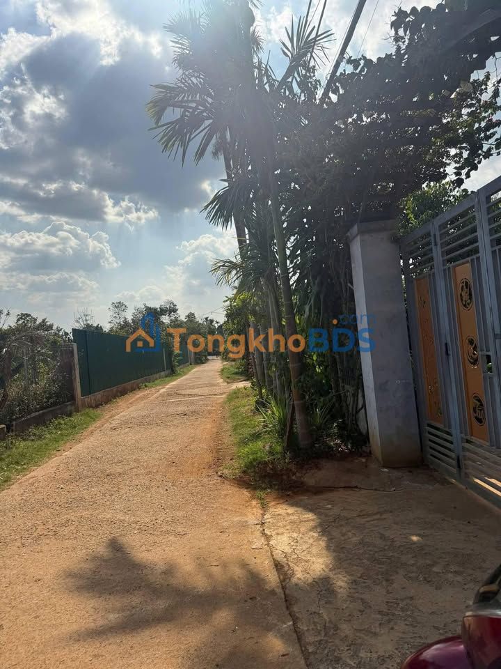 Bán Đất Vàng 1944m² Mặt Tiền Đường 19B, TP Buôn Ma Thuột - Pháp Lý TC