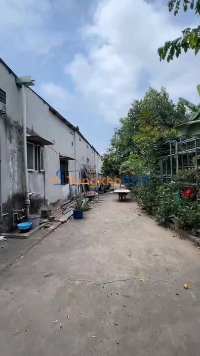 Đất nền Dĩ An 2599m² 79 tỷ - Sổ đỏ chính chủ