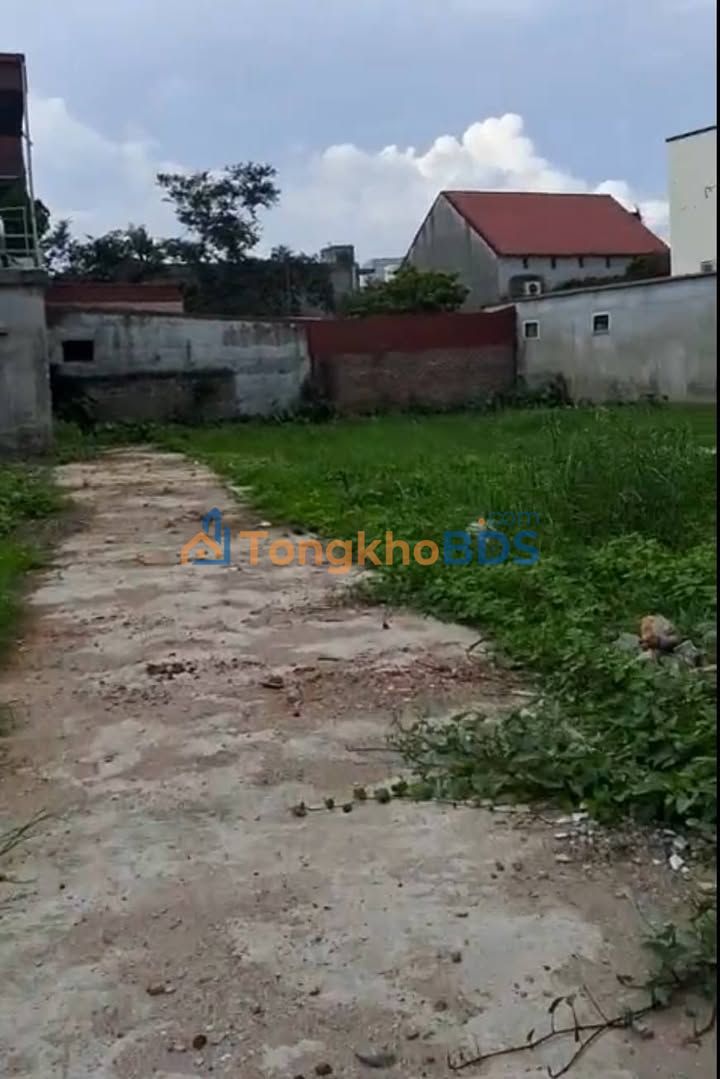 Đất Đại Bản An Dương 63m² 1.1 tỷ - Sổ đỏ chính chủ