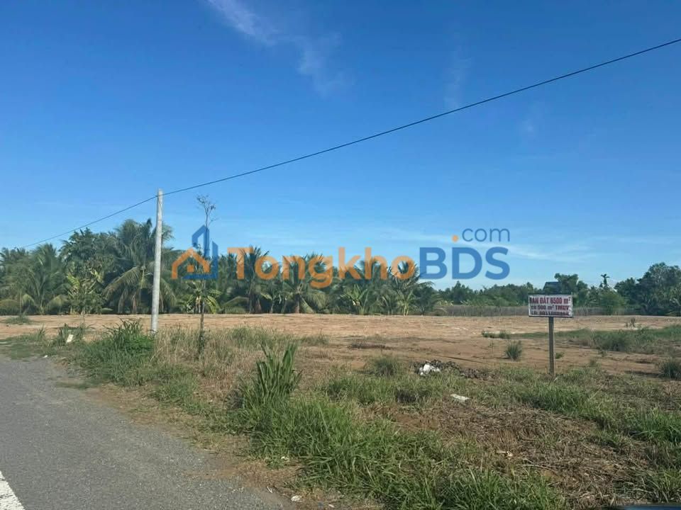 Đất nền Đường 173 Bến Tre 3520m² - Sổ đỏ chính chủ