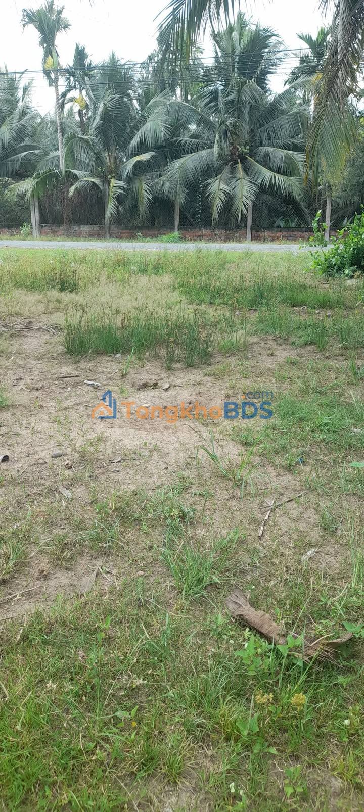 Đất nền Phong Nẫm 170m² giá 340 triệu - Pháp lý rõ ràng