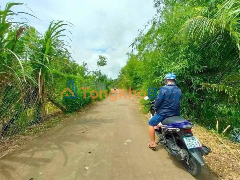 Đất vườn An Hiệp Ba Tri 13.355m² 1.3 tỷ - Sinh thái xanh