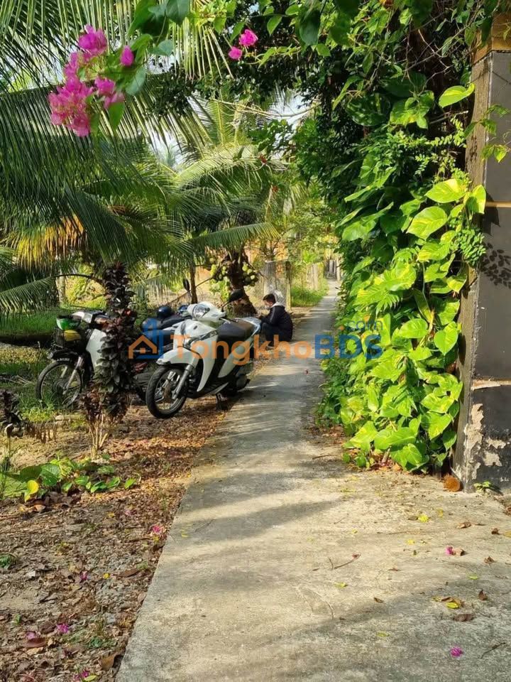 Đất vườn Hữu Định 2835m² 2.126 tỷ - Đầu tư dài hạn