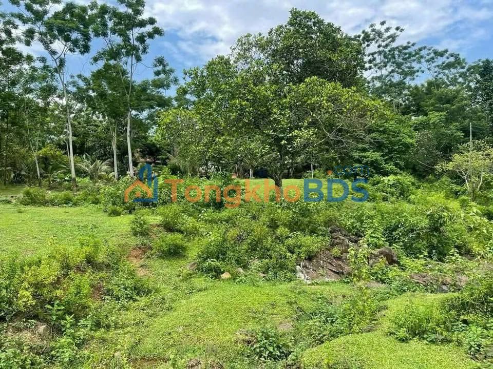 Đất nền Cư Yên Lương Sơn 5ha 5 tỷ - Đường to ô tô