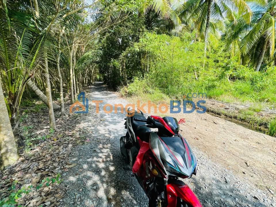 Đất nền Tam Bình 588m² 460 triệu - Pháp lý rõ ràng